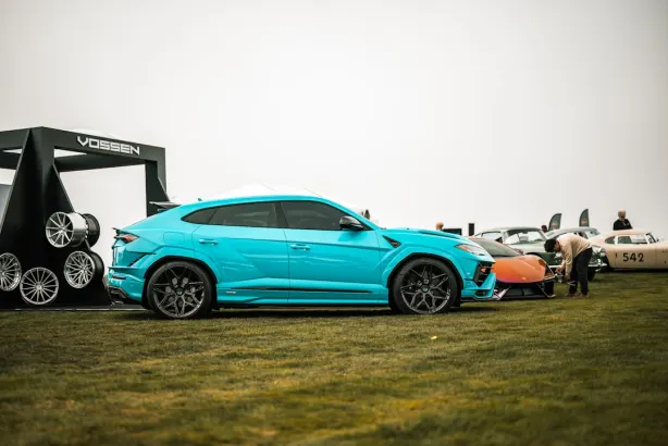 Casino Lucky 31 Android/iOS Forrit