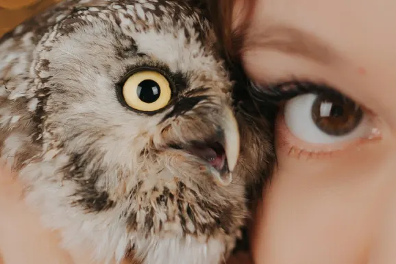 Casino Lucky 31 Stuðningur